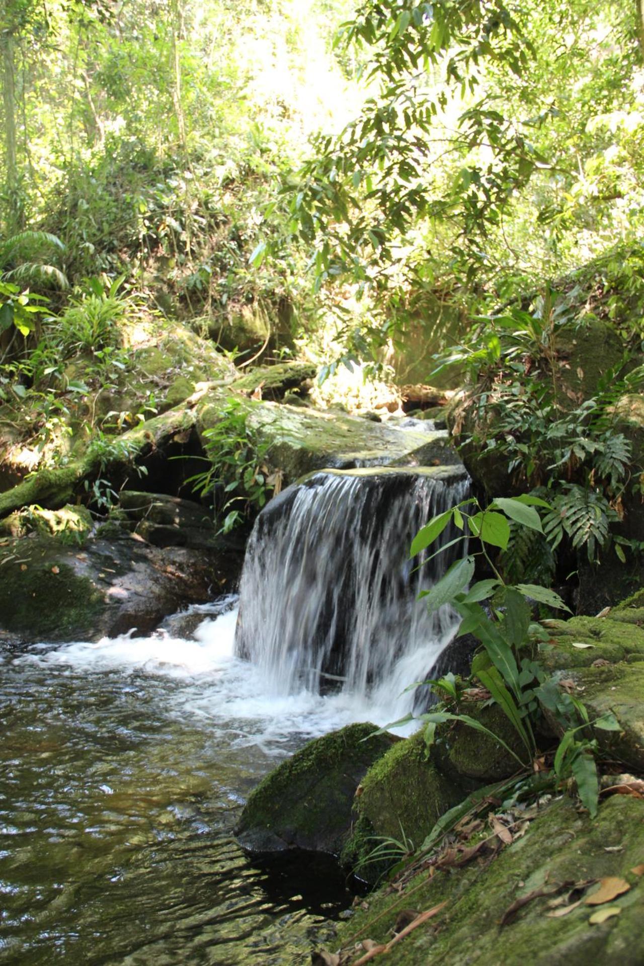 Sitio Araribá Ubatuba