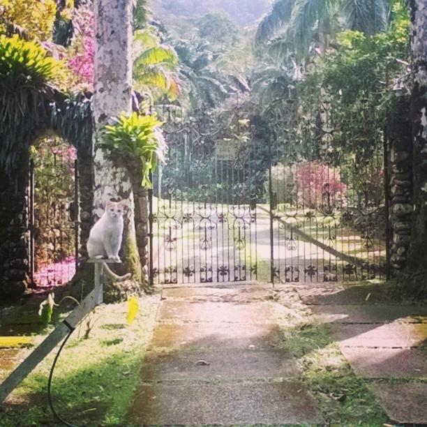 Sitio Araribá